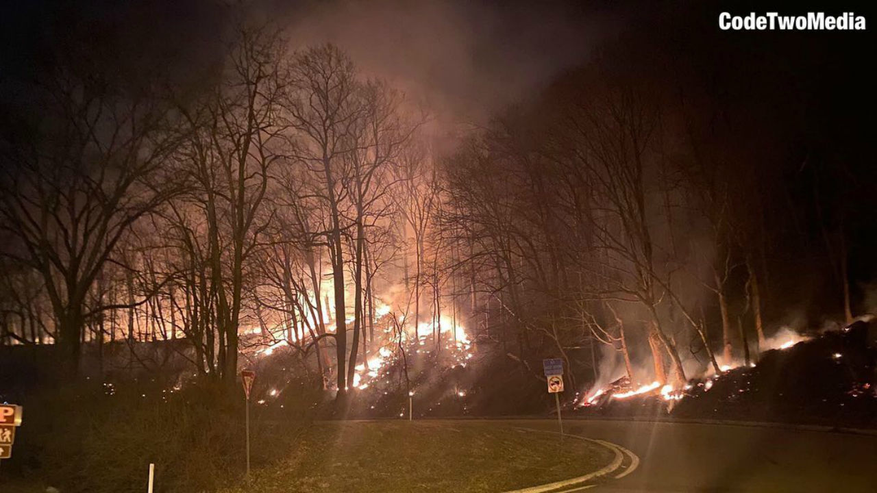 Worthington State Forest fire photo